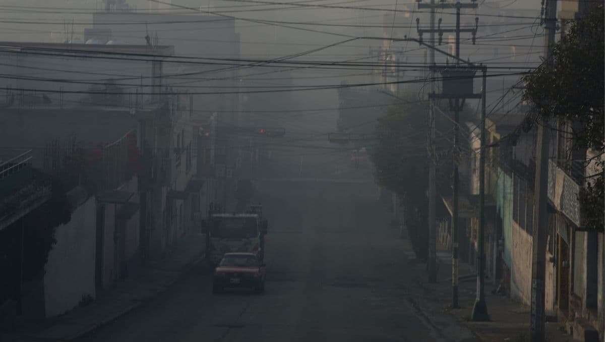 ECOEmprende: La nueva herramienta para proteger a las 'tienditas' frente a la crisis climática