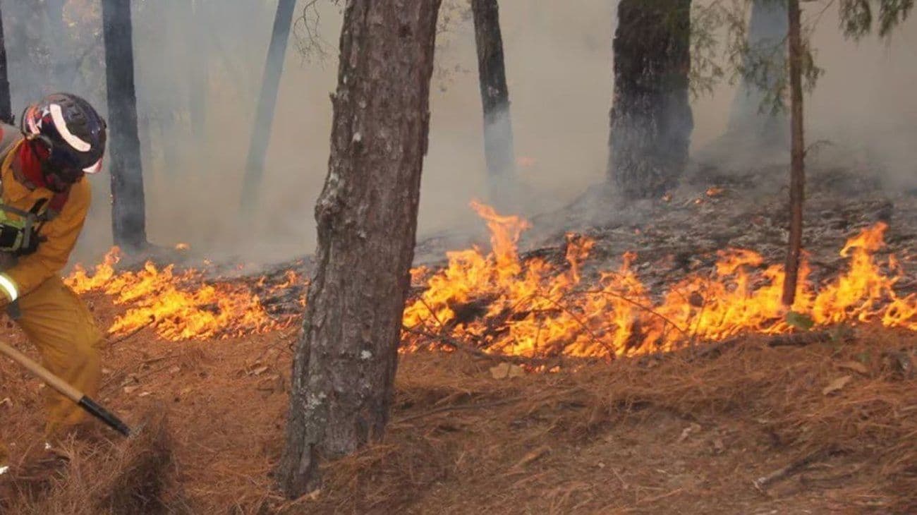 Alerta en el noreste: Nuevo León y Tamaulipas bajo riesgo crítico de incendios por factor '30-30-30'