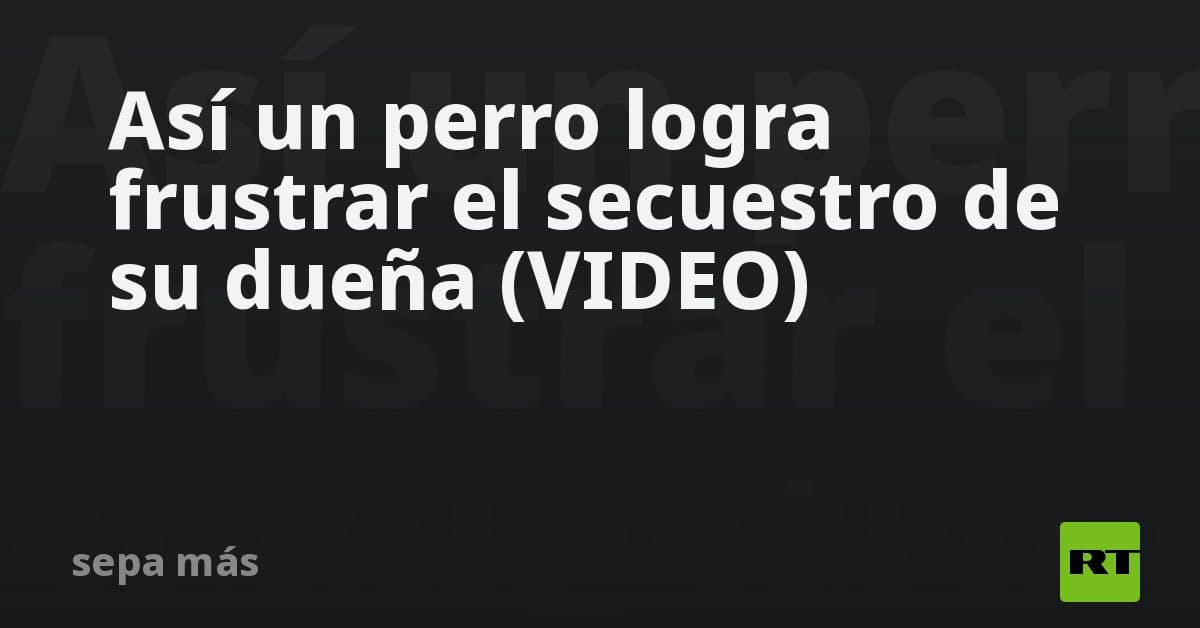 Perro 'héroe' frustra intento de secuestro: Canino defiende a su dueña de un grupo criminal en España