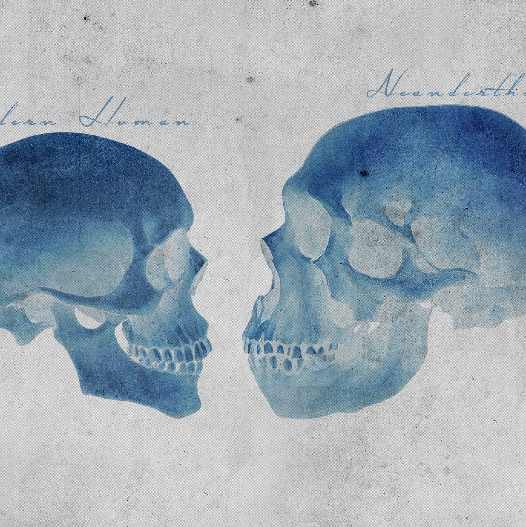 El secreto en tus genes: Lo que el ADN revela sobre los encuentros íntimos con neandertales