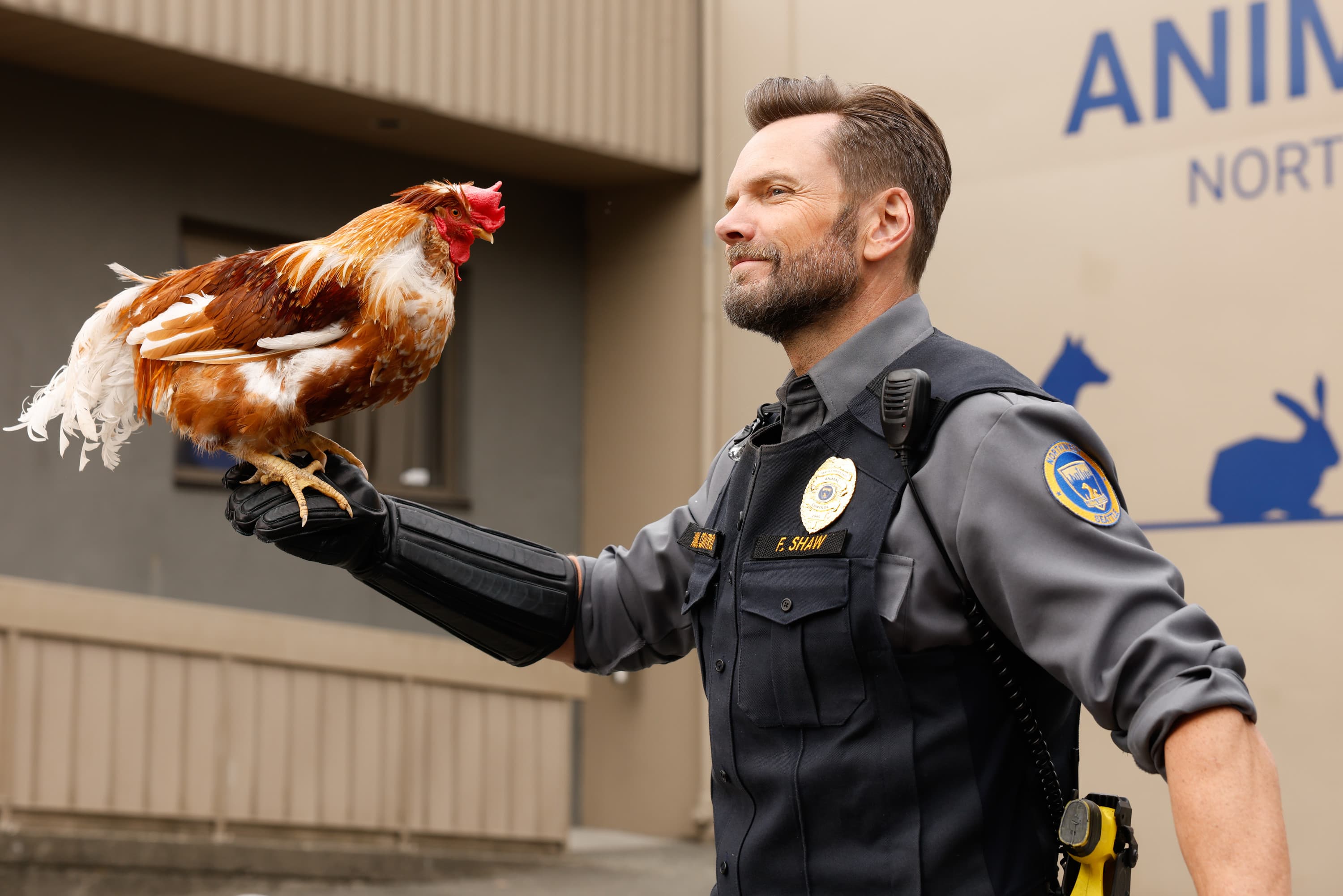 Fox renueva 'Animal Control' para una quinta temporada: Joel McHale asegura su permanencia en la televisión